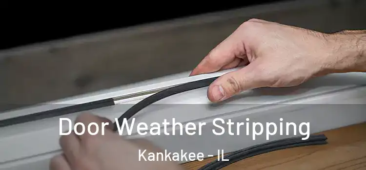  Door Weather Stripping Kankakee - IL