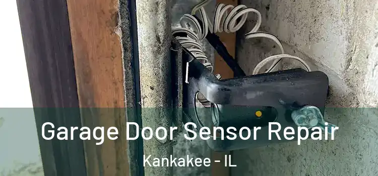 Garage Door Sensor Repair Kankakee - IL