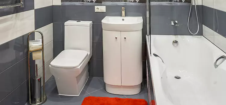 Hansgrohe Shaving Mirror Kankakee