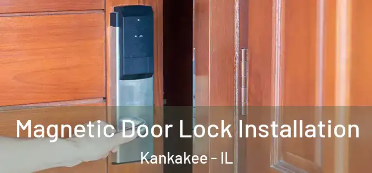  Magnetic Door Lock Installation Kankakee - IL