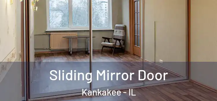  Sliding Mirror Door Kankakee - IL